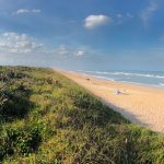 A serene beach view with sand and grass under a clear blue sky.
