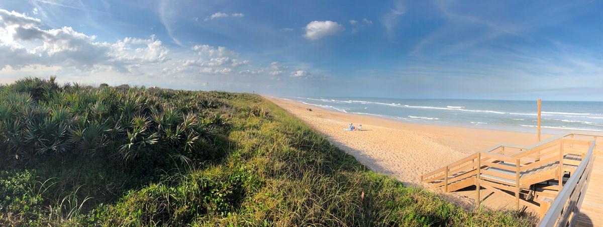 A serene beach view with sand and grass under a clear blue sky.